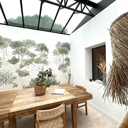 Adorable Route De Palombaggia * 维琪奥港